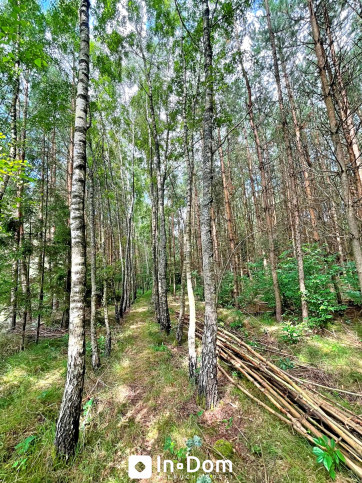 Działka Sprzedaż Stara Dąbrowa 3
