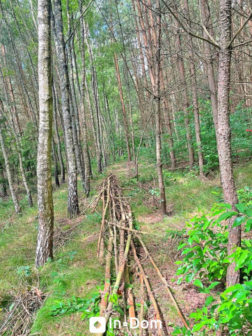 Działka Sprzedaż Stara Dąbrowa 5
