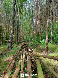 Działka Sprzedaż Stara Dąbrowa