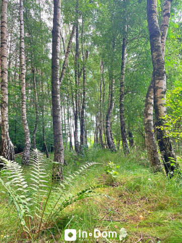 Działka Sprzedaż Stara Dąbrowa 8